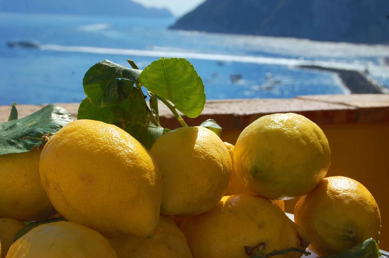 La Terrazza Sul Mare Bed & Breakfast Capri Exterior photo