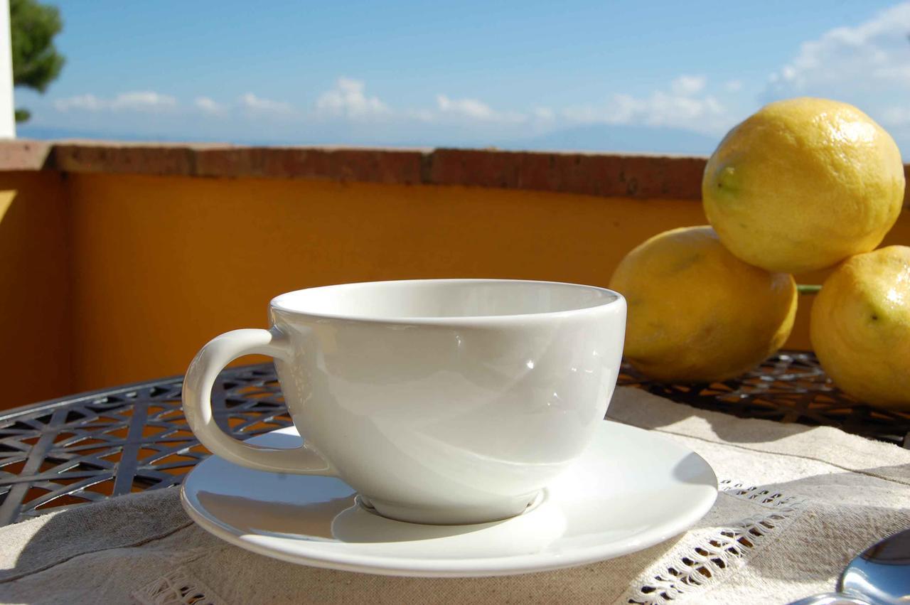 La Terrazza Sul Mare Bed & Breakfast Capri Exterior photo