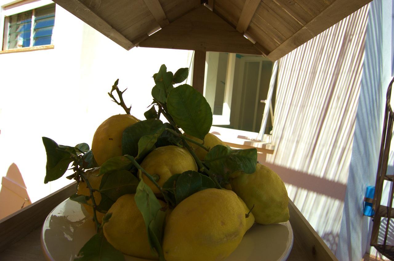 La Terrazza Sul Mare Bed & Breakfast Capri Exterior photo