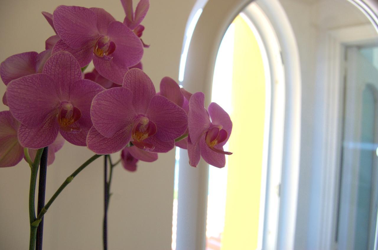 La Terrazza Sul Mare Bed & Breakfast Capri Exterior photo