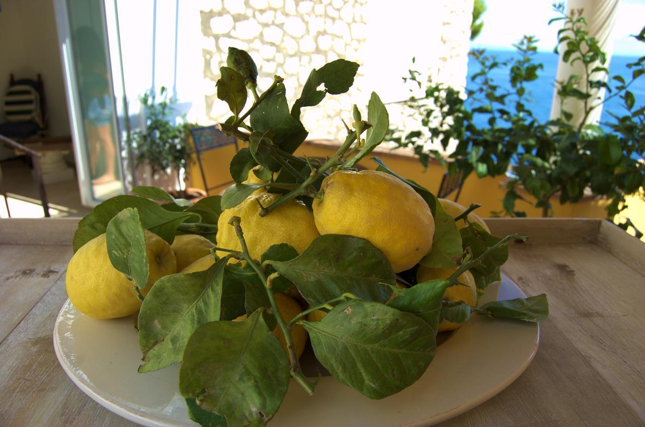 La Terrazza Sul Mare Bed & Breakfast Capri Exterior photo